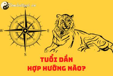 Sinh Năm 2010 Hợp Hướng Nào? Phân Tích Chi Tiết Theo Phong Thủy