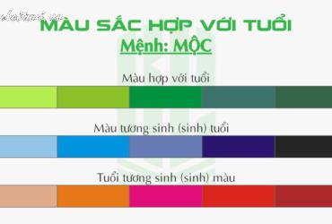 Khám Phá Bí Mật: Người Sinh Năm 2010 Hợp Màu Gì Để Thu Hút May Mắn và Tài Lộc?