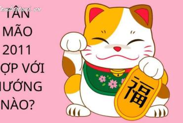 Sinh Năm 2011 Hợp Hướng Nào? Giải Mã Phong Thủy Tân Mão