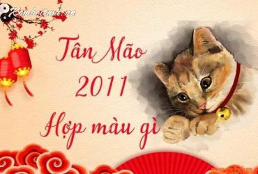 Sinh năm 2011 hợp màu gì? - Bí quyết chọn màu sắc mang lại may mắn