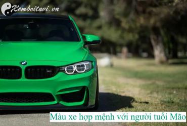 Sinh năm 2011 mua xe màu gì? Chọn màu xe hợp phong thủy cho tuổi Tân Mão