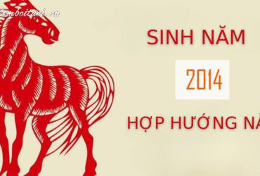 Sinh Năm 2014 Hợp Hướng Nào? - Phân Tích Chi Tiết Phong Thủy Cho Tuổi Giáp Ngọ