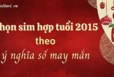 Người Sinh Năm 2015 Hợp Số Nào? Bí Quyết Chọn Sim Phong Thủy Thu Hút Tài Lộc