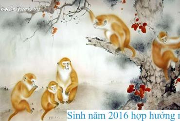 Sinh Năm 2016 Hợp Hướng Nào? Hướng Dẫn Chi Tiết Phong Thủy Cho Tuổi Bính Thân