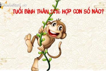 Sinh Năm 2016 Hợp Số Mấy? Sim Phong Thủy Cho Người Sinh Năm 2016 Mở Lối Tài Lộc Và Vận May