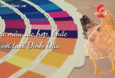 Sinh năm 2017 hợp màu gì? Khám phá màu sắc may mắn cho tuổi Đinh Dậu