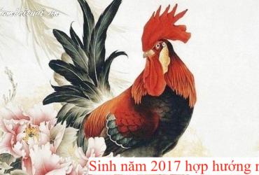 Sinh Năm 2017 Hợp Hướng Nào? Chọn Đúng Hướng, Đón Tài Lộc Cả Đời!