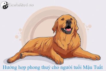 Sinh Năm 2018 Hợp Hướng Nào? - Phân Tích Chi Tiết Theo Phong Thủy Bát Trạch