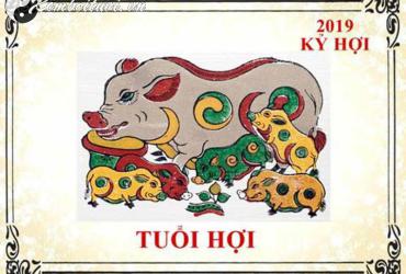 Sinh Năm 2019 Kỷ Hợi Mệnh Gì? Bí Mật Phong Thủy Tuổi Hợi