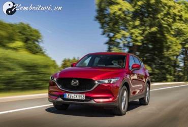 Sinh năm 2019 mua xe màu gì? Lựa chọn màu xe phong thủy cho tuổi Kỷ Hợi