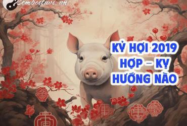 Sinh Năm 2019 Hợp Hướng Nào? Chọn Sai Hướng, Vận Mệnh Đổi Chiều!