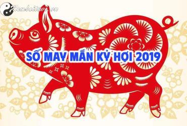 Sinh Năm 2019 Hợp Số Nào? Sự Thật Về Sim Phong Thủy Giúp Hút Tài Lộc!