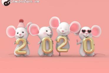 Sinh năm 2020 mệnh gì? Phân tích toàn diện về người tuổi Canh Tý