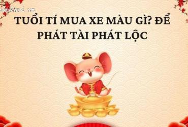 Sinh Năm 2020? Chọn Màu Xe Này Để Tăng Tài Lộc Và Tránh Vận Xui!