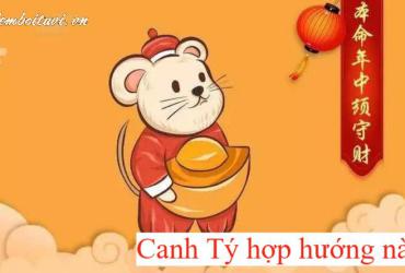 Sinh Năm 2020 Hợp Hướng Nào? Phân Tích Chi Tiết Từ Góc Nhìn Phong Thủy