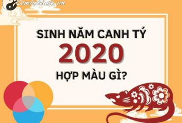 Sinh năm 2020 hợp màu gì? Bí quyết chọn màu may mắn cho tuổi Canh Tý
