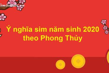 Người Sinh Năm 2020 Nhất Định Phải Biết: Số Hợp Và Sim Phong Thủy Giúp Đổi Vận!
