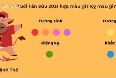 Sinh Năm 2021 Hợp Màu Gì? Chọn Màu Chuẩn Để Đón May Mắn Và Tài Lộc!
