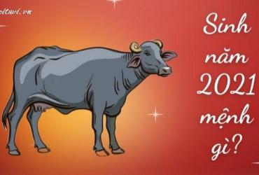 Sinh năm 2021 mệnh gì? Phong thủy đầy đủ cho tuổi Tân Sửu