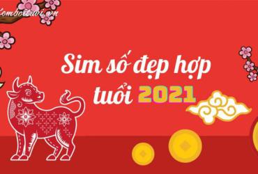 Sốc: Người Sinh Năm 2021 Hợp Số Nào? Sự Thật Về Sim Phong Thủy Giúp Đổi Vận!