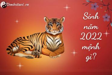 Sinh năm 2022 mệnh gì? Bật mí đầy đủ về tử vi phong thủy tuổi Nhâm Dần
