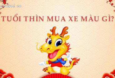 Sinh Năm 2024 Mua Xe Màu Gì? Chọn Sai Màu, Mất Lộc Cả Đời!