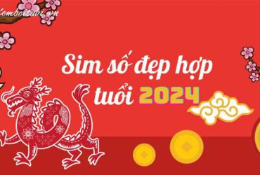 Sinh Năm 2024 Hợp Số Nào? Con Số Phong Thủy Giúp Tuổi Giáp Thìn Kích Tài Lộc Và Công Danh!