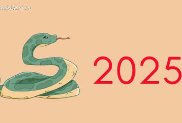 Sinh năm 2025 mệnh gì? Phân tích chi tiết về người tuổi Ất Tỵ