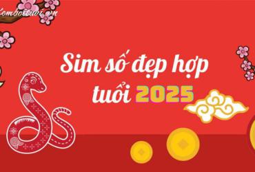 Sốc! Hé Lộ Con Số May Mắn Giúp Người Sinh Năm 2025 Hút Tài Lộc, Công Danh Thăng Hoa!
