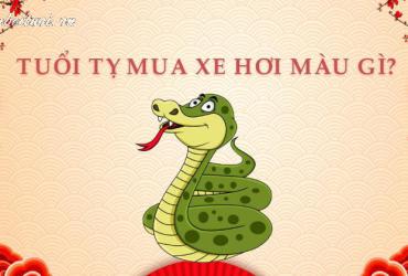 Người Sinh Năm 2025 Mua Xe Màu Gì Để Tài Lộc Dồi Dào? Đừng Chọn Sai Kẻo Hao Hụt Tiền Bạc!