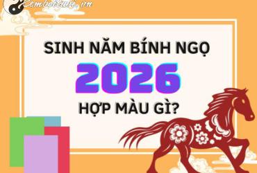 Sinh Năm 2026 Hợp Màu Gì? Chọn Đúng Màu Để Thu Hút Tài Lộc Và May Mắn!