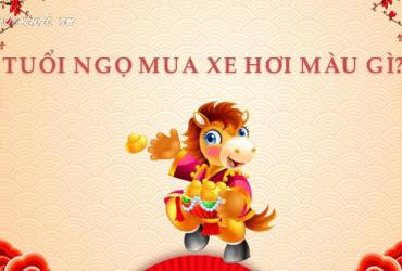 Sinh Năm 2026 Mua Xe Màu Gì? Chọn Đúng Màu, Tài Lộc Kéo Đến, Vận Hạn Tránh Xa!