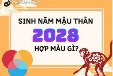 Sinh Năm 2028? Chọn Màu Sắc Này Để Đón Tài Lộc, Tránh Xui Xẻo!