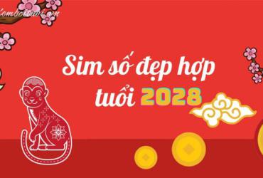 Sinh Năm 2028 Hợp Số Nào? Chọn Sim Phong Thủy Để Kích Tài Lộc & May Mắn!