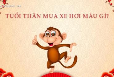 Sinh Năm 2028, Mua Xe Màu Gì Để Đón Tài Lộc Và Tránh Vận Xui?