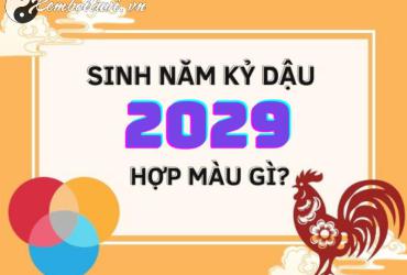 Sinh Năm 2029 Hợp Màu Gì? Chọn Đúng Màu – Thay Đổi Vận Mệnh Ngay Hôm Nay!