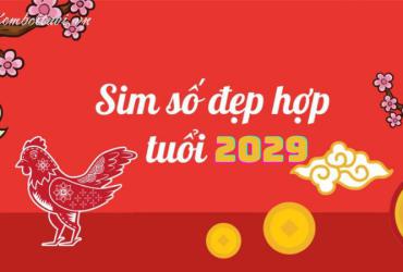 Sinh Năm 2029 Hợp Số Mấy? Con Số May Mắn Giúp Tài Lộc Vượng Phát!