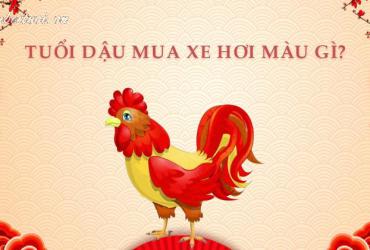 Sinh Năm 2029 Mua Xe Màu Gì Để Hút Tài Lộc, Tránh Xui Rủi?