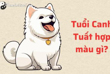 Sinh Năm 2030 Hợp Màu Gì? Chọn Sai Có Thể Ảnh Hưởng Đến Vận Mệnh!