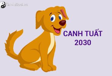 Sinh năm 2030 mệnh gì? Phân tích đầy đủ về tử vi phong thủy