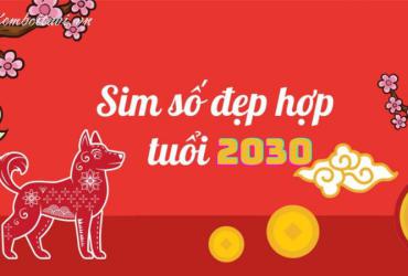 Số Hợp Tuổi Canh Tuất 2030: Chọn Đúng, Tài Lộc Kéo Đến!