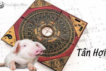 Tiết Lộ 4 Hướng Nhà Tài Lộc Cho Tuổi Tân Hợi 2031 - Phong Thủy Bật Mí Bí Mật