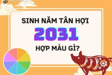 Tiết Lộ Màu Sắc Giúp Người Sinh Năm 2031 Thu Hút Tài Lộc Ngay Lập Tức
