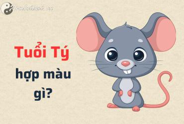 Tiết Lộ 3 Màu Sắc Biến Người Tuổi Nhâm Tý 2032 Thành Nam Châm Hút Tài Lộc