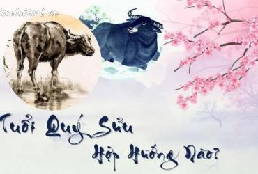 Sinh Năm 2033 Hợp Hướng Nào Theo Phong Thủy?