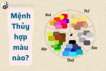 Sinh Năm 2034 Hợp Màu Gì? Màu Sắc Phong Thủy Cho Tuổi Giáp Dần Mệnh Thủy