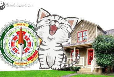 Sinh Năm 2035 Hợp Hướng Nào? Hướng Nhà Hợp Phong Thủy Cho Tuổi Ất Mão