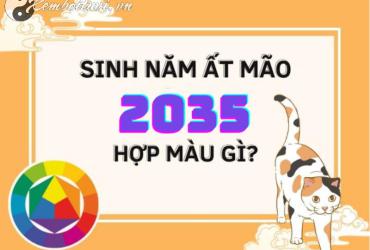 Sinh Năm 2035 Hợp Màu Gì? Màu Sắc Phong Thủy Cho Tuổi Ất Mão Mệnh Thủy