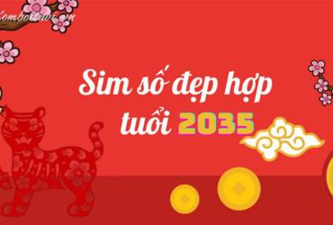 Sinh năm 2035 hợp số mấy? Sim phong thủy cho người sinh năm 2035