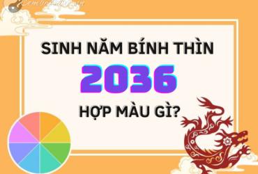 Sinh Năm 2036 Hợp Màu Gì? Màu Sắc Phong Thủy Cho Tuổi Bính Thìn Mệnh Hỏa